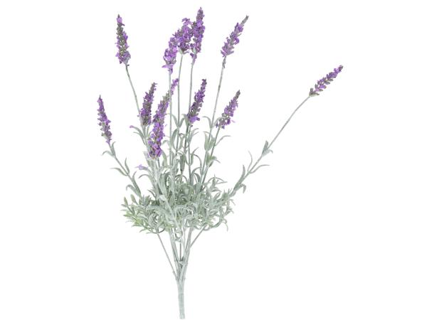 Lavendel Pflanze L41cm
