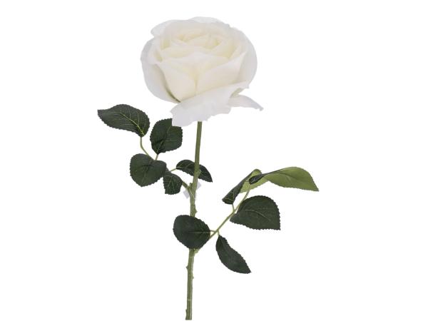 Rose Rosaly D8 L67cm