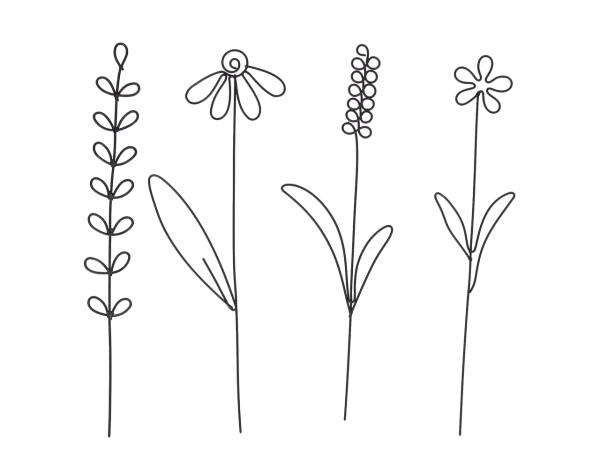 Sortiment 4 St Stecker Draht Wiesenblumen 4Mod filigran 