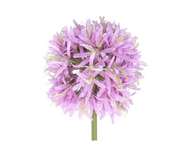 Allium Seide L62cm