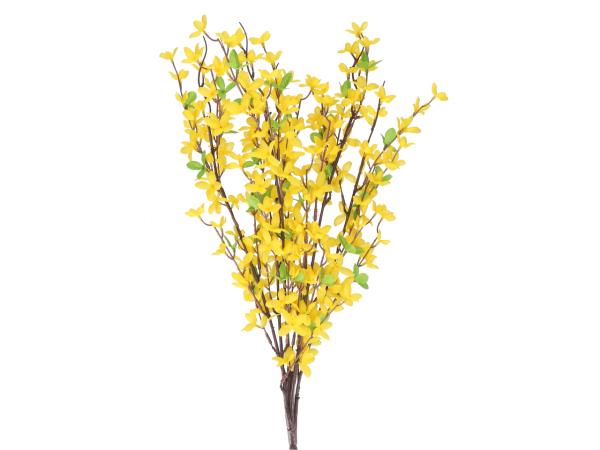 Forsythia Bush x 5 L74cm