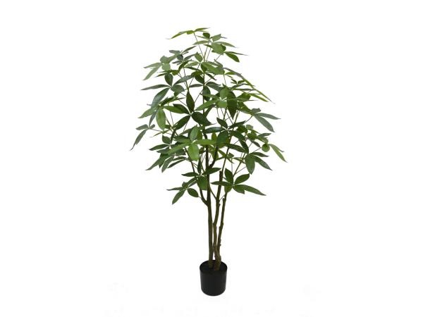 Pflanze BB-Tree getopft H150cm