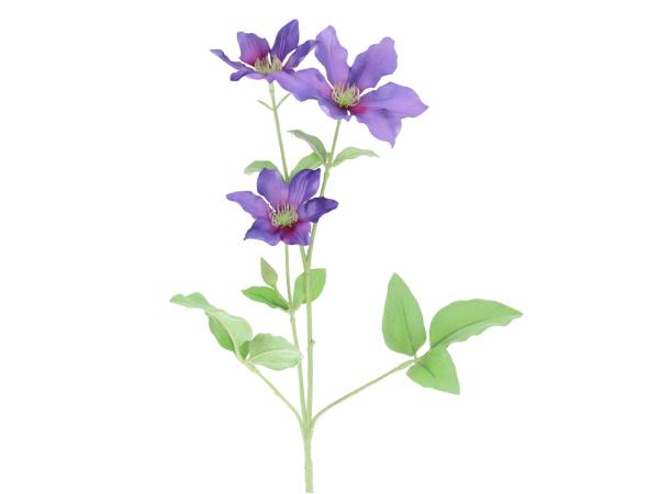 Zweig Clematis L74cm