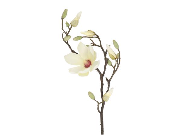 Zweig magnolie 1Bl/3Kn L70cm