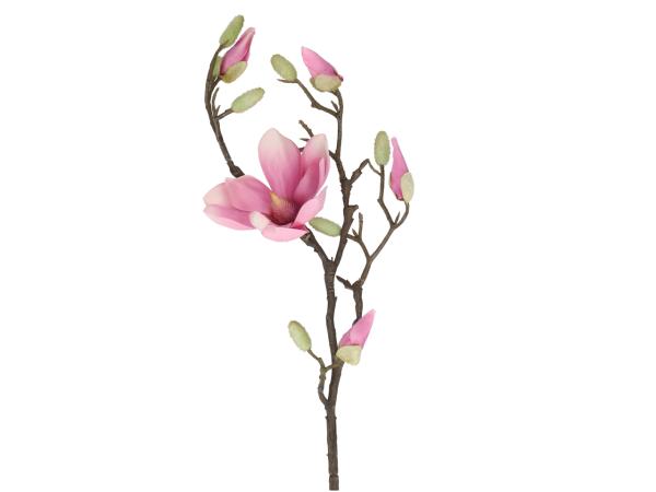 Zweig magnolie 1Bl/3Kn L70cm