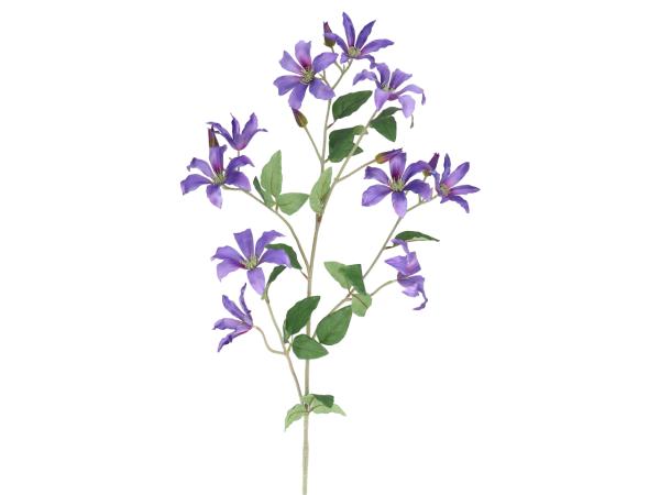 Zweig Clematis L138cm