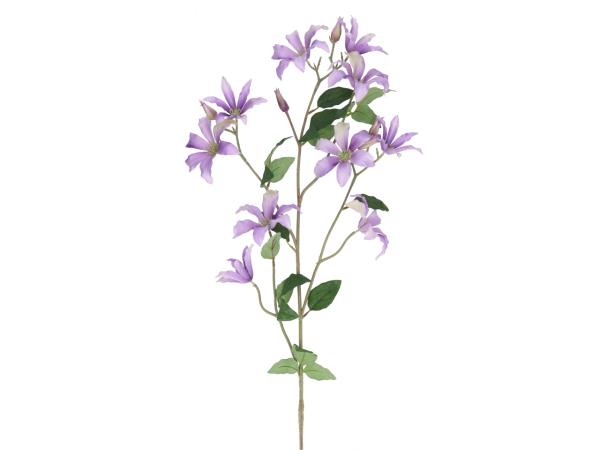 Zweig Clematis L138cm