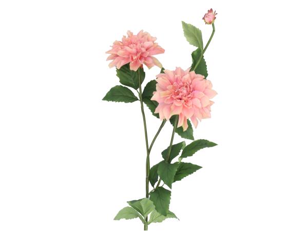 Dahlie x3 L117cm