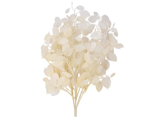 Busch Lunaria x8 L45cm