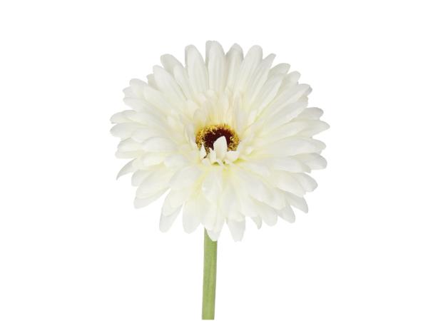 Gerbera L60cm