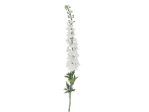 Rittersporn L135cm