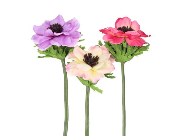 Anemone mix 3Fb sort L33cm