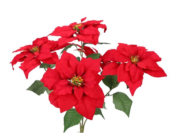 Busch Poinsettia D20/40 L45cm