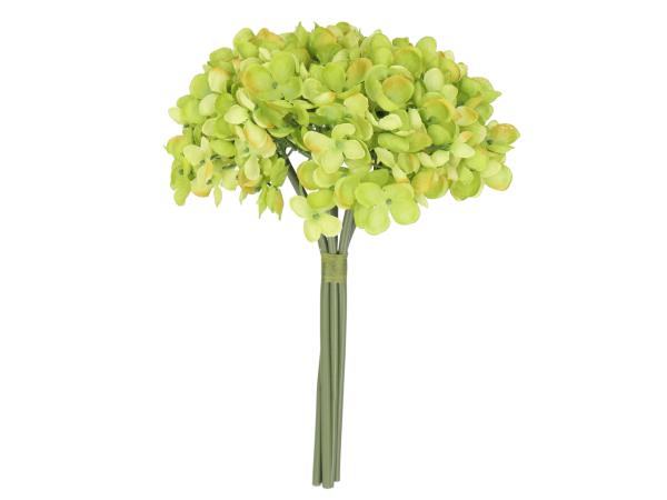 Hortensie Pick Bund x 5 L27cm