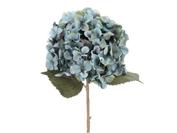 Hortensie L65cm
