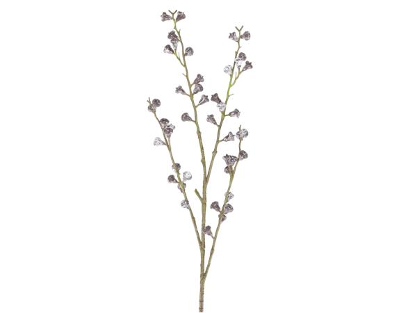 Zweig Eucalyptus Fruchtstand L90cm