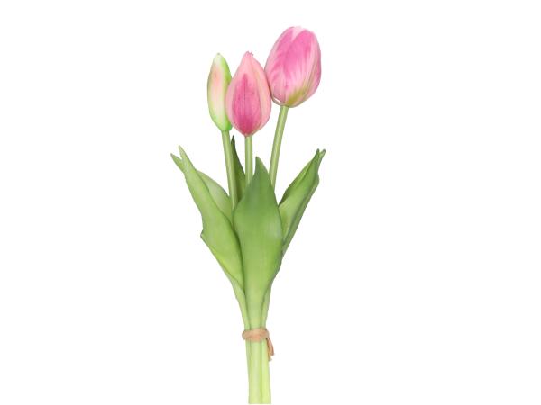 Tulpe realtouch Bund x3 L26cm