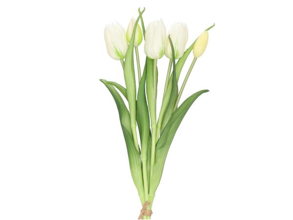 Tulpe realtouch Bund x5 L40cm