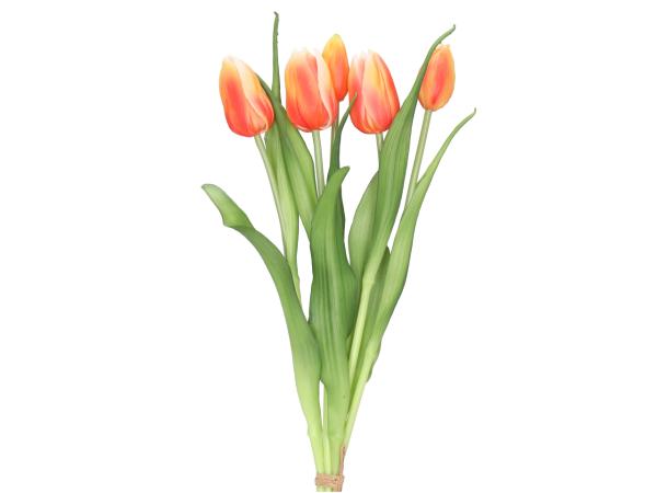 Tulpe realtouch Bund x5 L40cm