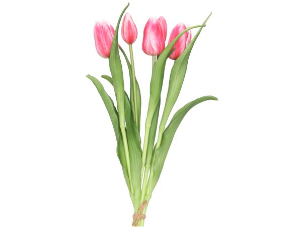 Tulpe realtouch Bund x5 L40cm