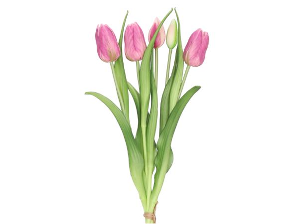 Tulpe realtouch Bund x5 L40cm