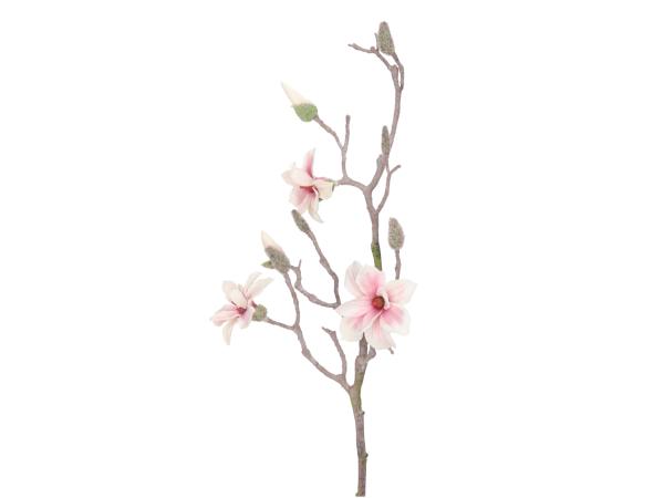 Zweig Magnolie realtouch L76cm