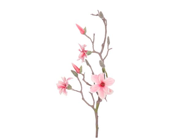 Zweig Magnolie realtouch L76cm