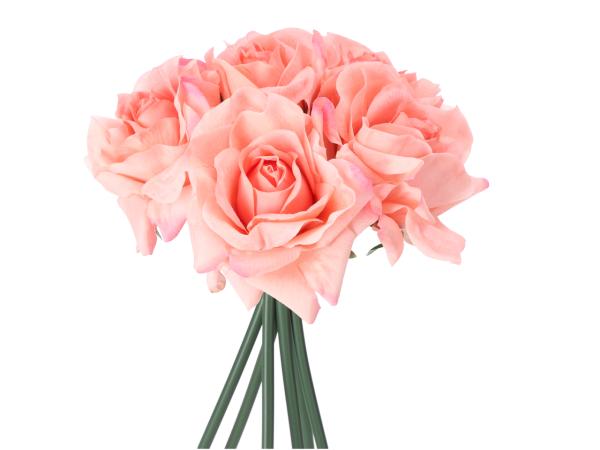 Bund Rosen x6 realtouch D19 L30cm
