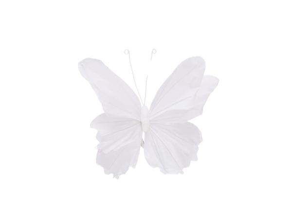 Schmetterling Papier m Clip 