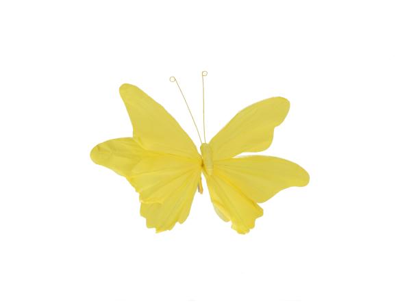 Schmetterling Papier m Clip 