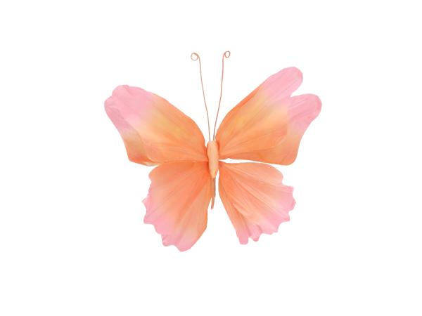 Schmetterling Papier m Clip 