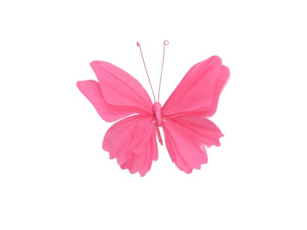Schmetterling Papier m Clip 