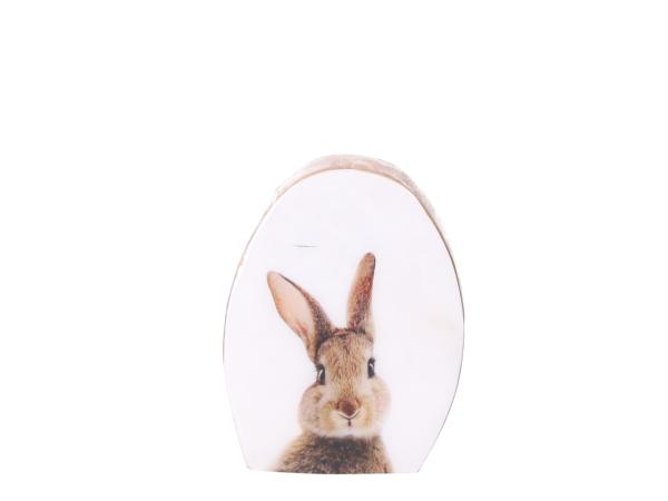 Ei Druckmotiv Hase Mangowood-Emaille z Stellen doppelseitig 