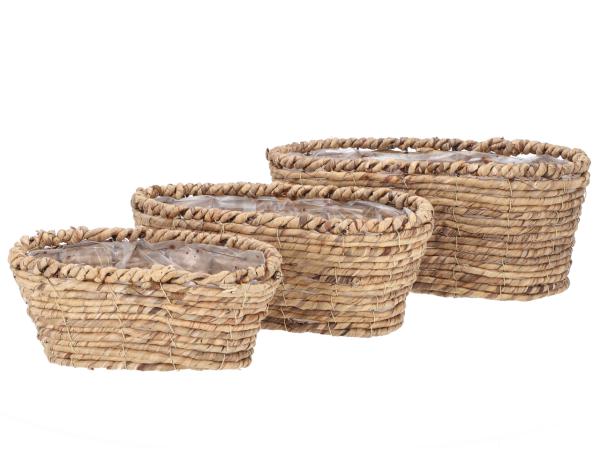 Jardiniere Wasserhyazinthe oval Set3 L37/32/27 H15/13/11cm