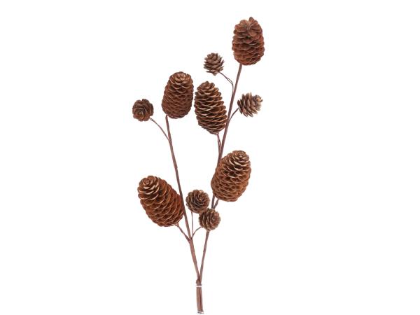 Zweig Deko Zapfen natur gedrahtet L70cm