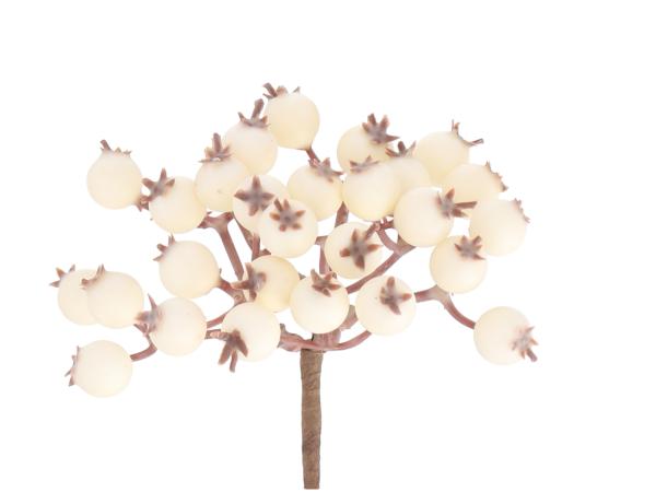 Beerenpick 27Beeren D10 L13cm