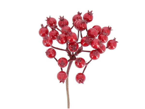 Beerenpick 27Beeren D10 L13cm