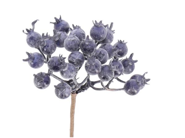 Beerenpick 27Beeren D10 L13cm