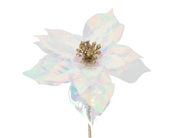 Poinsettia KST transparent shiny L23 D18cm