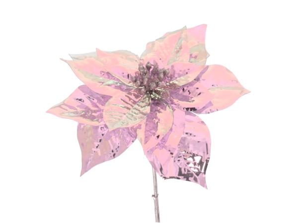 Zweig Poinsettie L23 D18cm