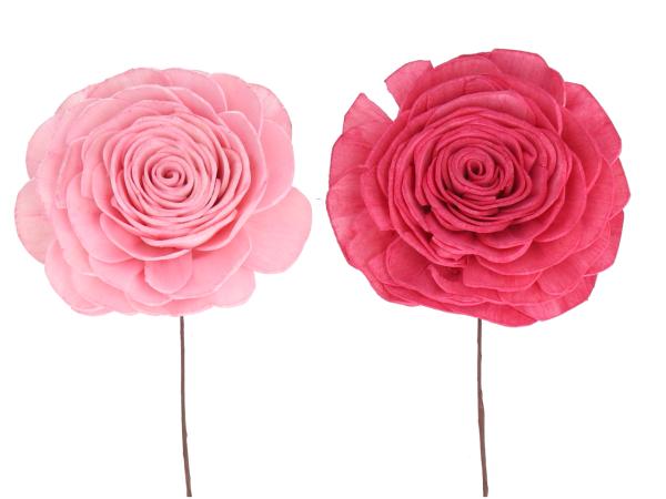 Rose Beauty Solablüte am Draht 2 Fb sort D8 Draht L20cm