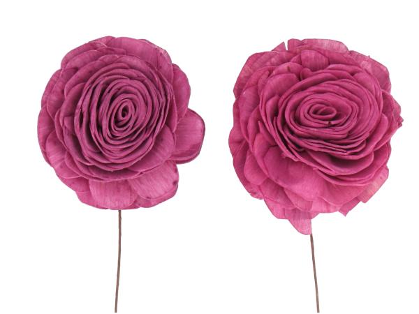 Rose Beauty Solablüte am Draht 2 Fb sort D8 Draht L20cm