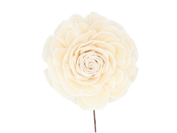 Rose Beauty Solablüte am Draht D8 Draht L20cm