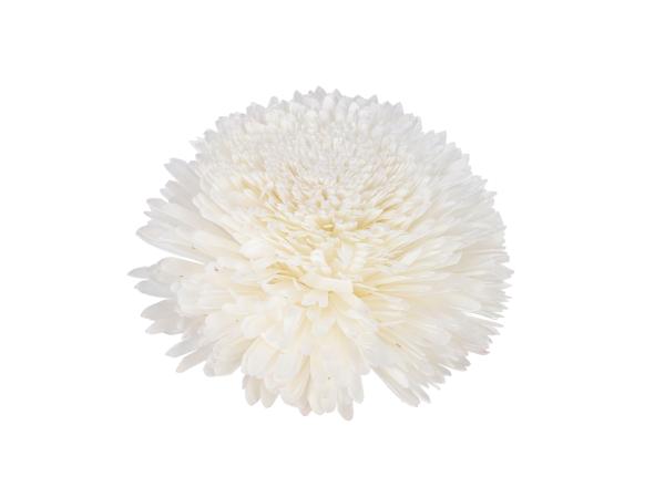 Dekostar Solablüte am Draht extra weiß 