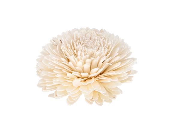 Dekostar Solablüte am Draht D15 Draht L20cm