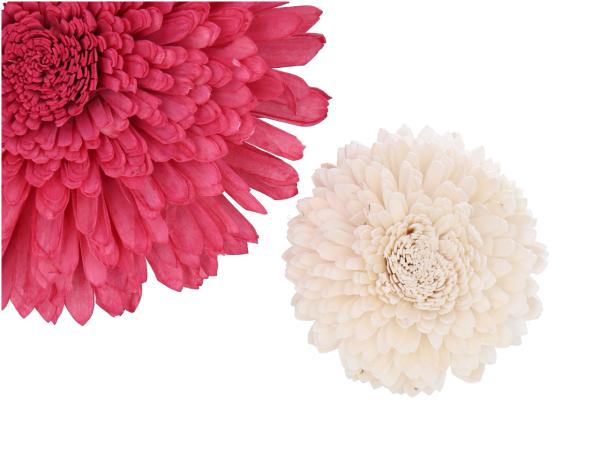 Dekostar Solablüte am Draht D15 Draht L20cm