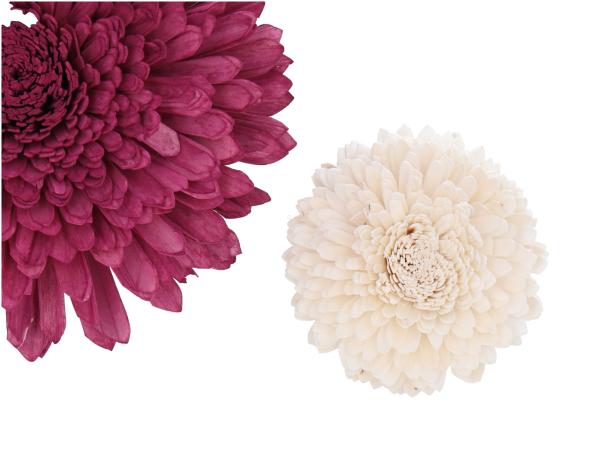 Dekostar Solablüte am Draht D15 Draht L20cm