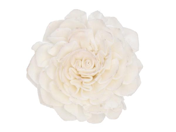 Dahlie Solablüte am Draht extra weiß D8 Draht L20cm