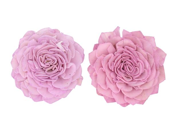 Dahlie Solablüte am Draht 2 Fb sort D8 Draht L20cm