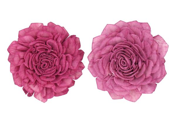 Dahlie Solablüte am Draht 2 Fb sort D8 Draht L20cm